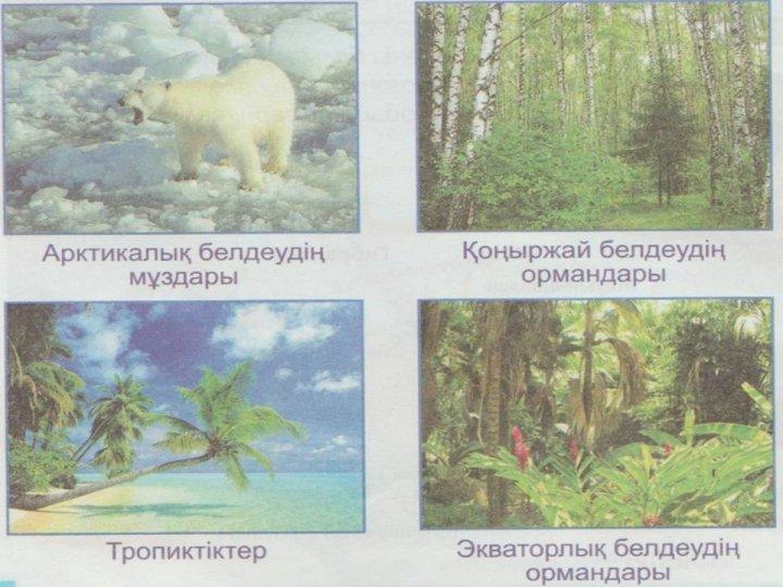Жаратылыстану апталық